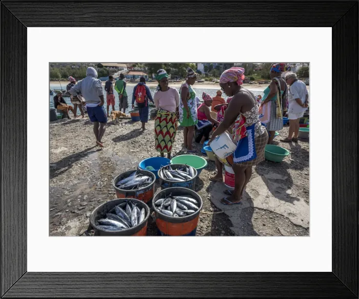 Framed Print : africa, Cape Verde, Santiago. Market-women buying fresh fish from the fishermen Framed Print : africa, Cape Verde, Santiago. Market-women buying fresh fish from the fishermen