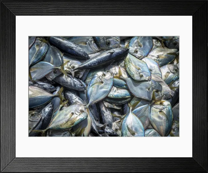 Framed Print : africa, Cape Verde, Santiago. Fresh fish