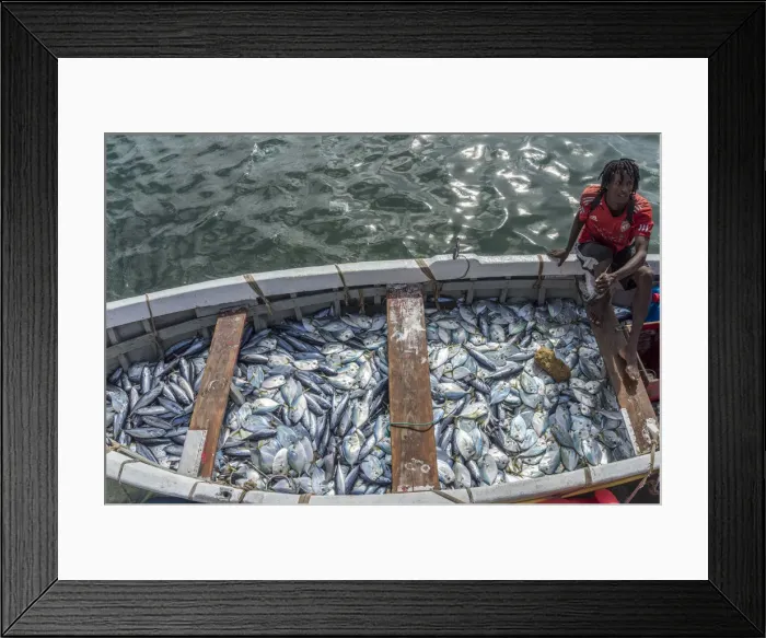 Framed Print : africa, Cape Verde, Santiago. Fishermen of Tarrafal Framed Print : africa, Cape Verde, Santiago. Fishermen of Tarrafal