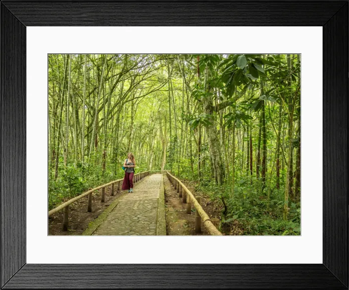 Framed Print : Forest in San Agustin Archaeological Park, Huila Department, Colombia Framed Print : Forest in San Agustin Archaeological Park, Huila Department, Colombia