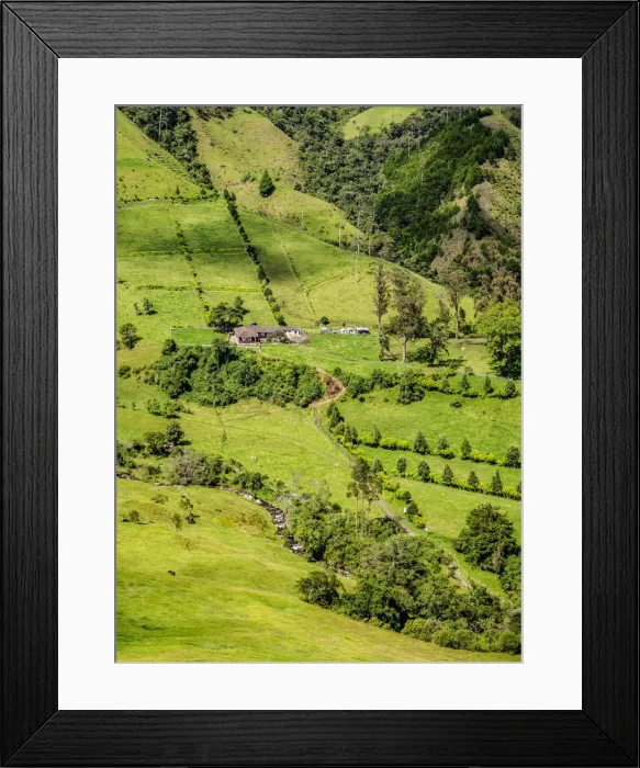 Framed Print : Cocora Valley, Salento, Quindio Department, Colombia Framed Print : Cocora Valley, Salento, Quindio Department, Colombia