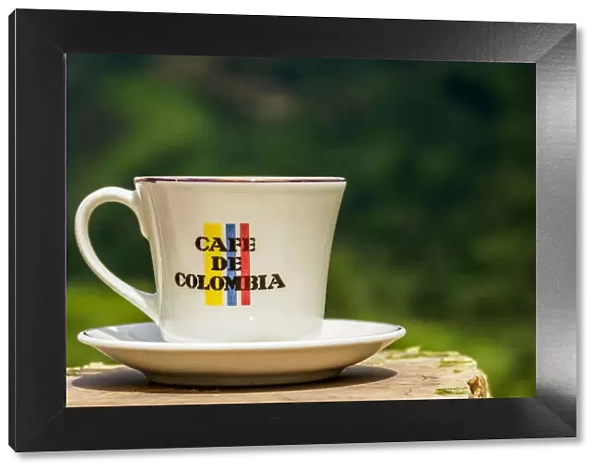 Cup of Coffee, El Ocaso Farm, Salento, Quindio Department, Colombia