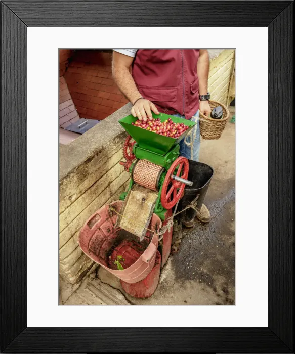 Framed Print : El Ocaso Farm, Salento, Quindio Department, Colombia
