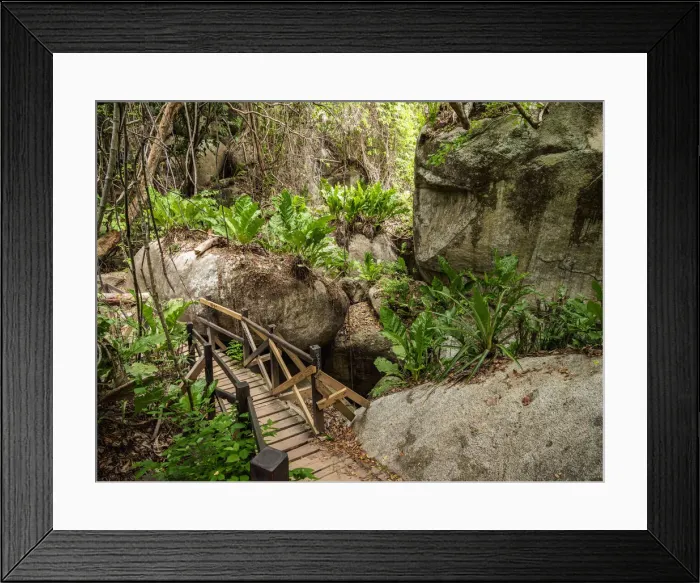 Framed Print : Trail in Tayrona National Natural Park, Magdalena Department, Caribbean, Colombia