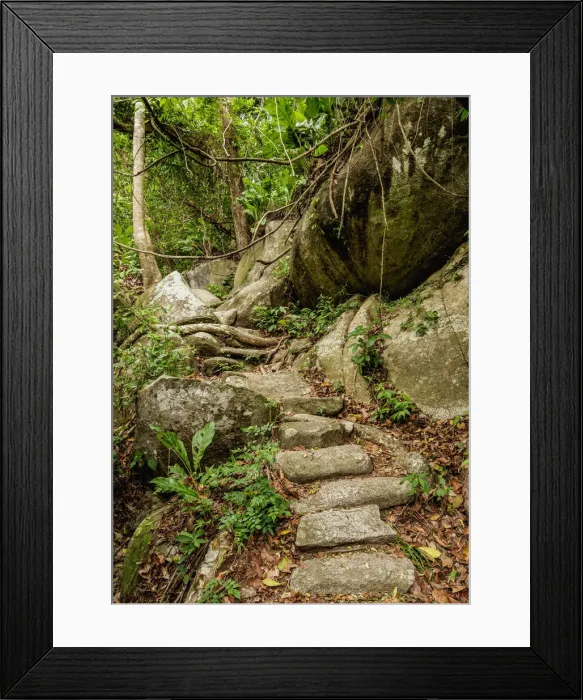 Framed Print : Kogi Trail from El Cabo to Pueblito Chairama, Tayrona National Natural Park, Magdalena Framed Print : Kogi Trail from El Cabo to Pueblito Chairama, Tayrona National Natural Park, Magdalena
