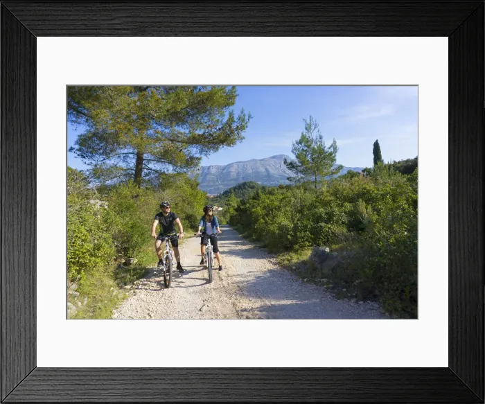 Framed Print : Europe, Balkans, Croatia, Korcula, cyclists mountain biking around Korcula island (MR)