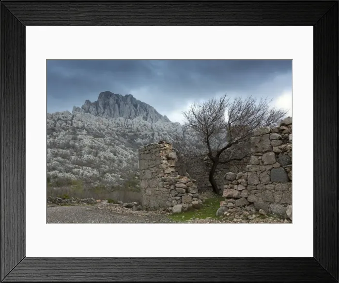 Framed Print : Europe, Croatia, Dalmatia, Paklenica national park, a lone tree growing in a ruined Framed Print : Europe, Croatia, Dalmatia, Paklenica national park, a lone tree growing in a ruined