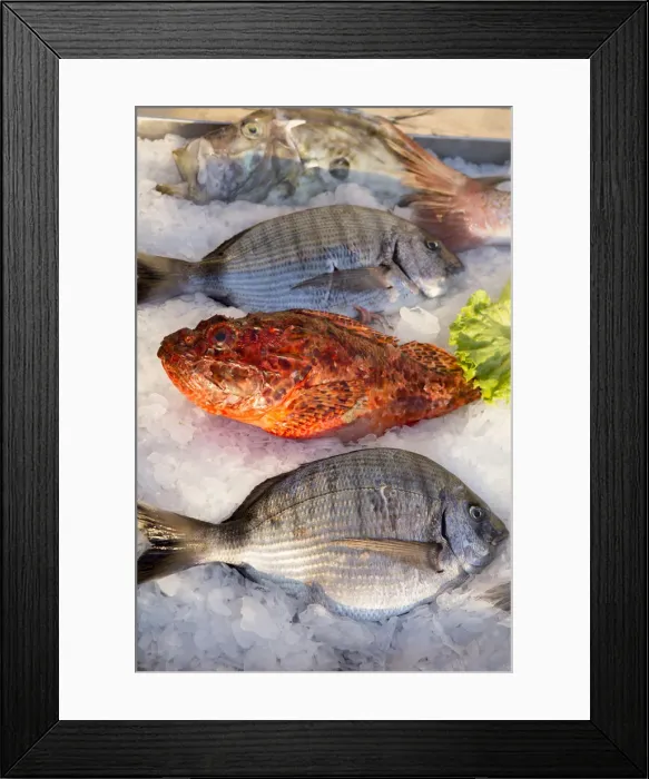 Framed Print : Europe, Balkans, Croatia, Hvar, Mediterranean sea fish on ice in a restaurant in Hvar
