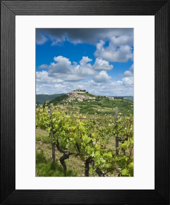 Framed Print : Vineyards, Motovun, Istria, Croatia Framed Print : Vineyards, Motovun, Istria, Croatia