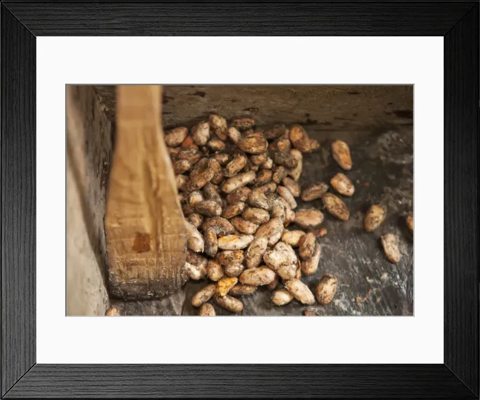 Framed Print : Central America, Costa Rica, roast cacao (cocoa) beans in chocolate production near Framed Print : Central America, Costa Rica, roast cacao (cocoa) beans in chocolate production near