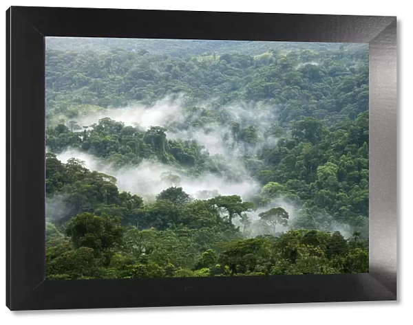 Central America, Costa Rica, mist rising off cloud forest