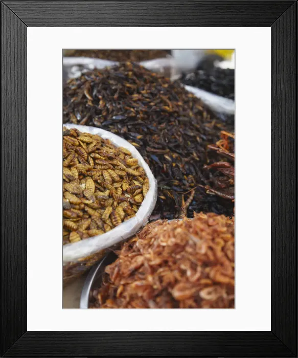 Framed Print : Deep fried insects at market, Phnom Penh, Cambodia Framed Print : Deep fried insects at market, Phnom Penh, Cambodia