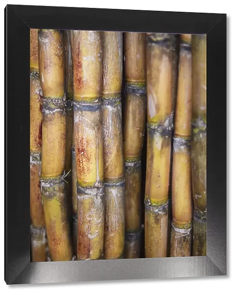 Sugarcane at market, Phnom Penh, Cambodia
