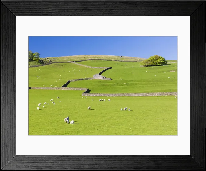 Framed Print : United Kingdom, England, North Yorkshire, Stainforth. Dry Stone Wall scenery Framed Print : United Kingdom, England, North Yorkshire, Stainforth. Dry Stone Wall scenery