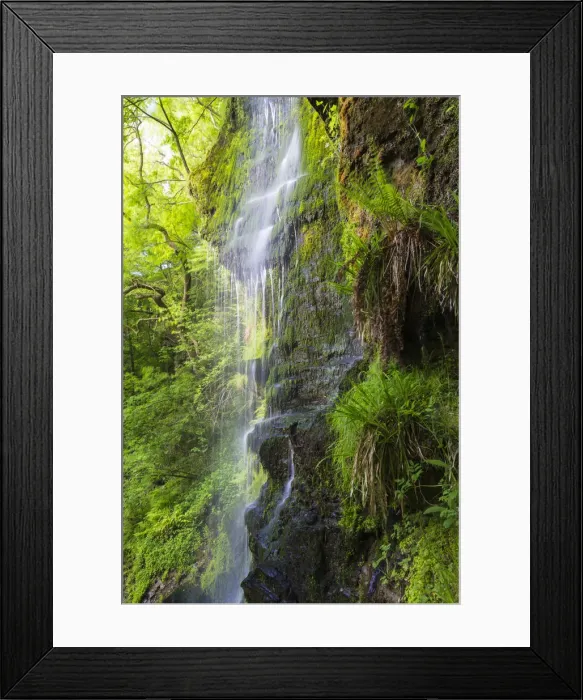 Framed Print : United Kingdom, England, North Yorkshire, Goathland