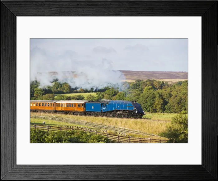 Framed Print : United Kingdom, England, North Yorkshire, Goathland Framed Print : United Kingdom, England, North Yorkshire, Goathland
