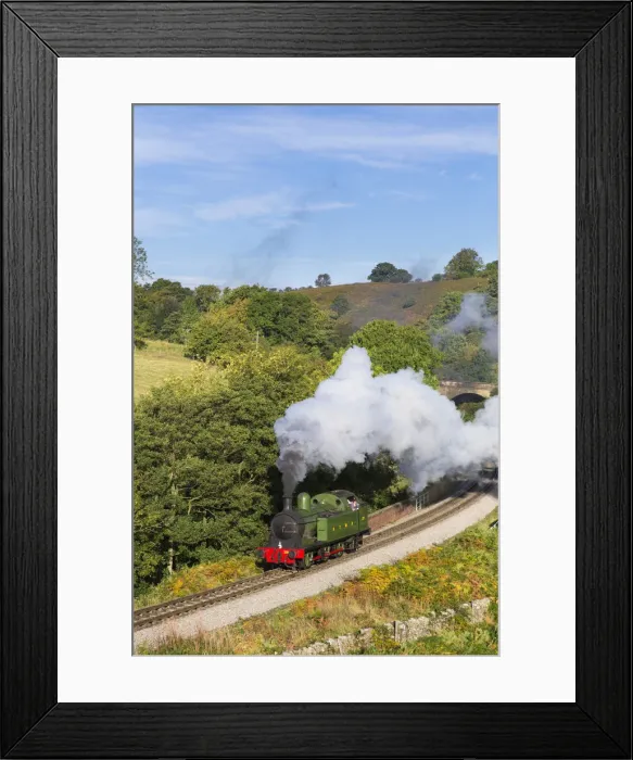 Framed Print : United Kingdom, England, North Yorkshire, Goathland Framed Print : United Kingdom, England, North Yorkshire, Goathland