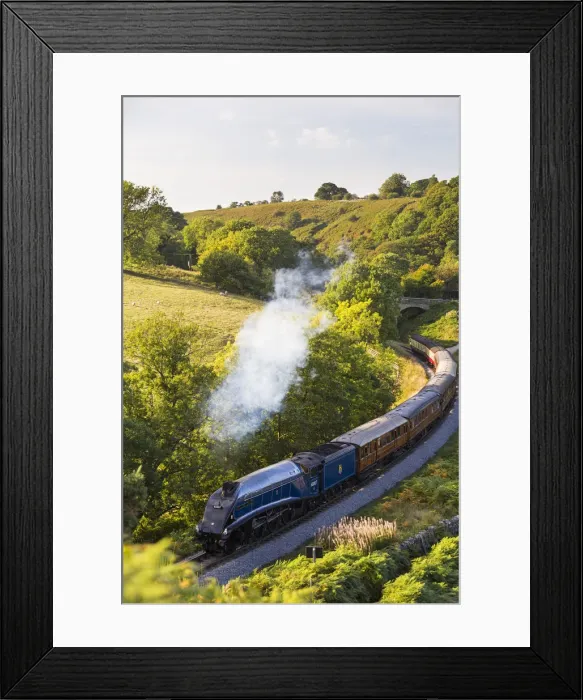 Framed Print : United Kingdom, England, North Yorkshire, Goathland Framed Print : United Kingdom, England, North Yorkshire, Goathland