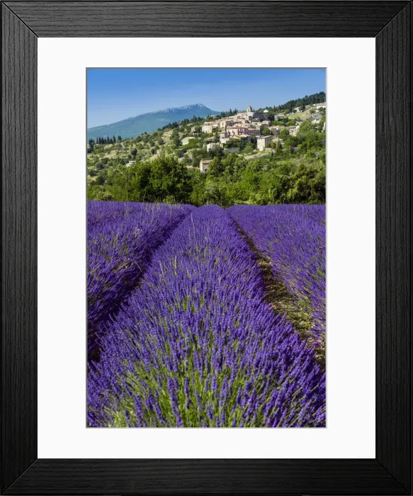 Framed Print : View of village of Aurel with field of lavander in bloom, Provence, France