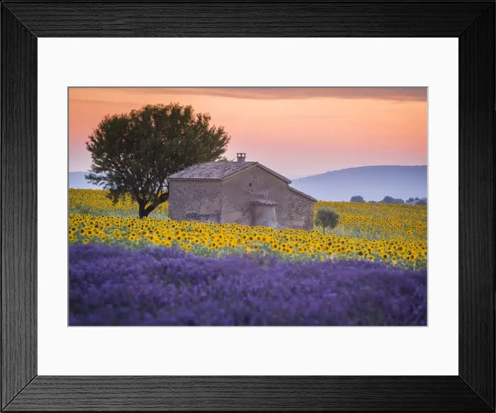 Framed Print : Provence, Valensole Plateau, France, Europe