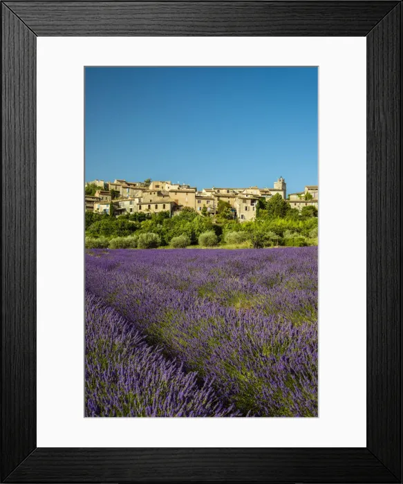 Framed Print : View of village of Saignon with field of lavander in bloom, Provence, France