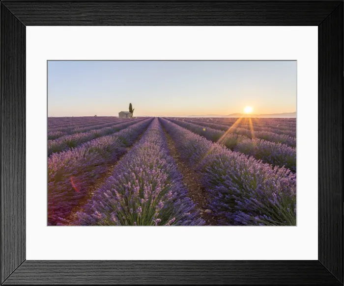 Framed Print : Provence, Valensole Plateau, France, Europe Framed Print : Provence, Valensole Plateau, France, Europe