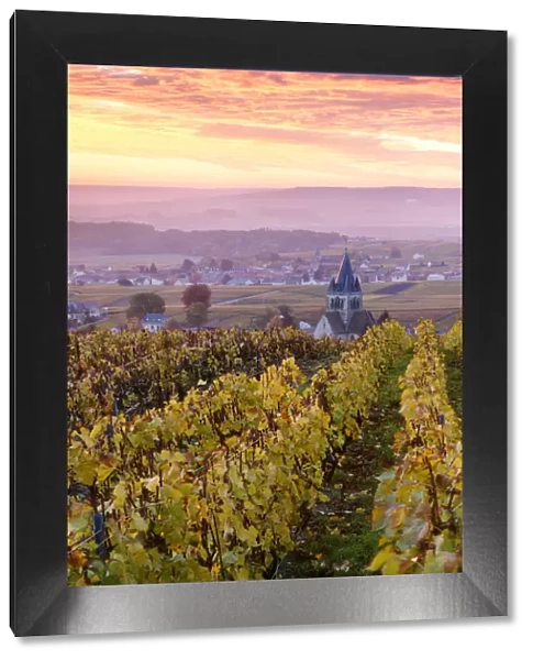 Colorful sunrise over the vineyards of Ville Dommange, Champagne Ardenne, France