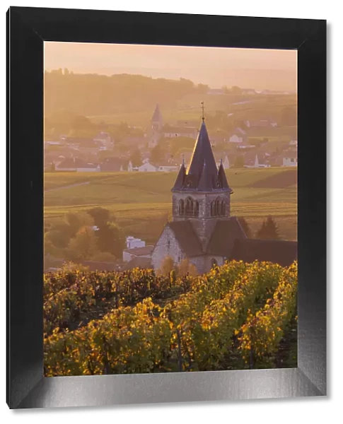Ville Dommange and its vineyards, Champagne Ardenne, France