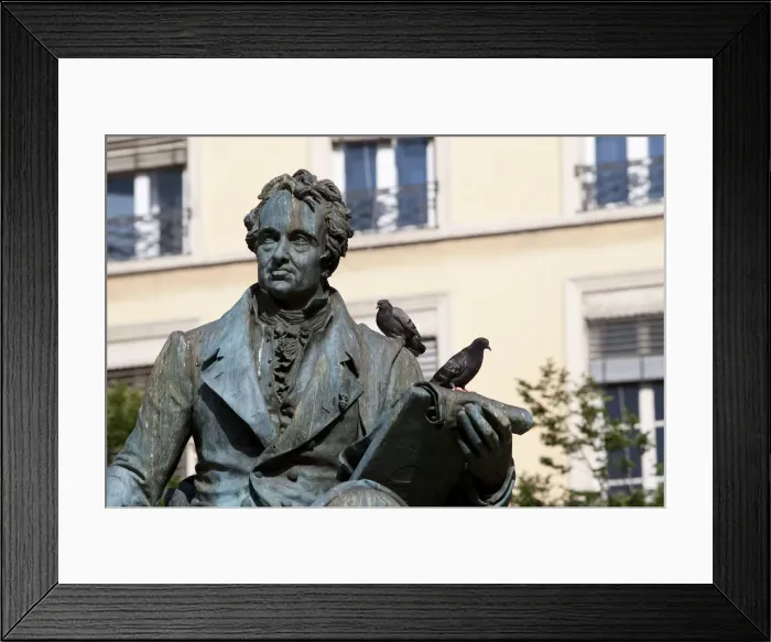 Framed Print : Statue covered in pigeons in Lyon France Framed Print : Statue covered in pigeons in Lyon France