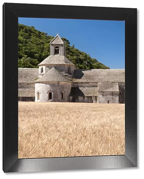Senanque Abbey, Provence, France