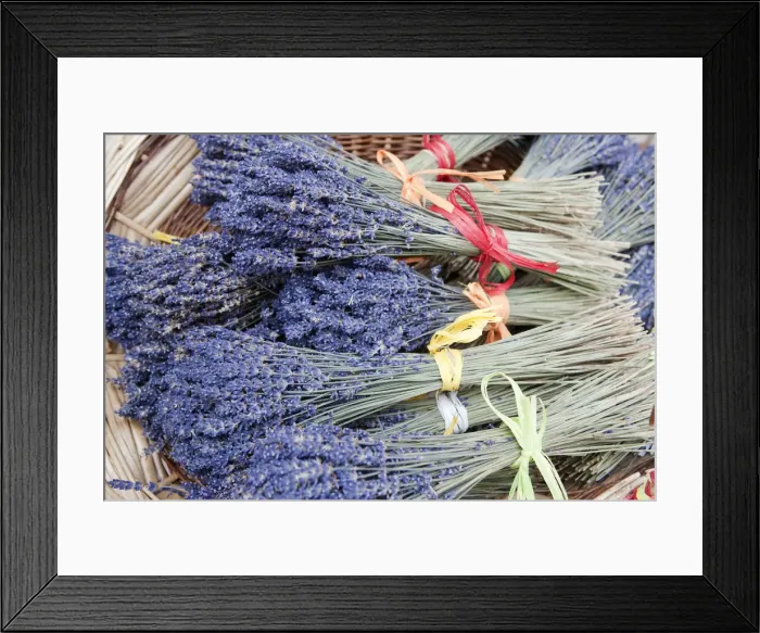 Framed Print : Provence, France. Lavender stalks in a basket in Provence France Framed Print : Provence, France. Lavender stalks in a basket in Provence France