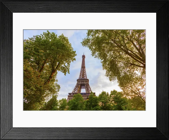 Framed Print : France, Paris, Eiffel Tower framed by trees Framed Print : France, Paris, Eiffel Tower framed by trees