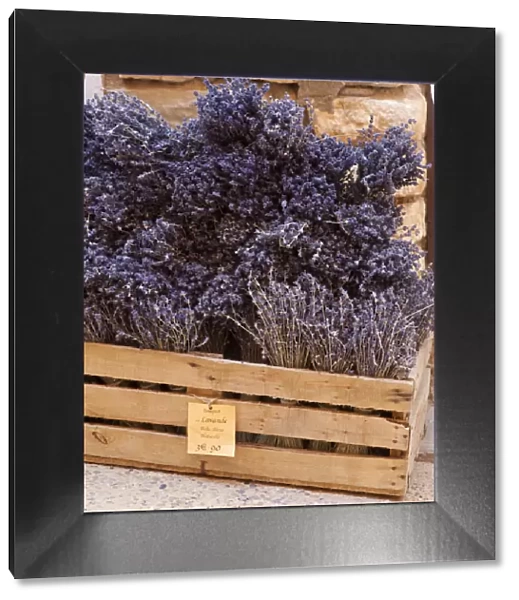 Rousillion; France. A basket of lavender for sale in southern France