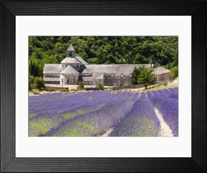 Framed Print : Senanque Abbey, Provence, France Framed Print : Senanque Abbey, Provence, France