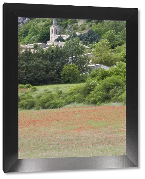 Provence, France. A french hill town in Provence with poppies in the foreground
