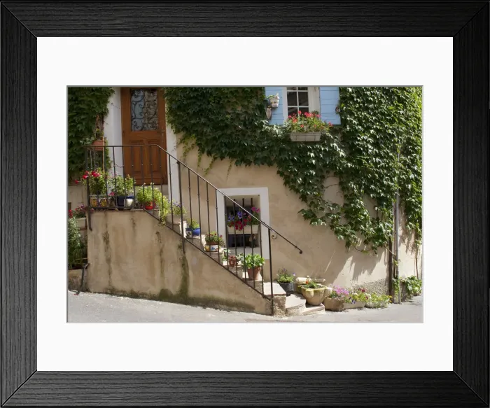 Framed Print : Provence, France. Ivy and flowers in front of a home in the South of France Framed Print : Provence, France. Ivy and flowers in front of a home in the South of France