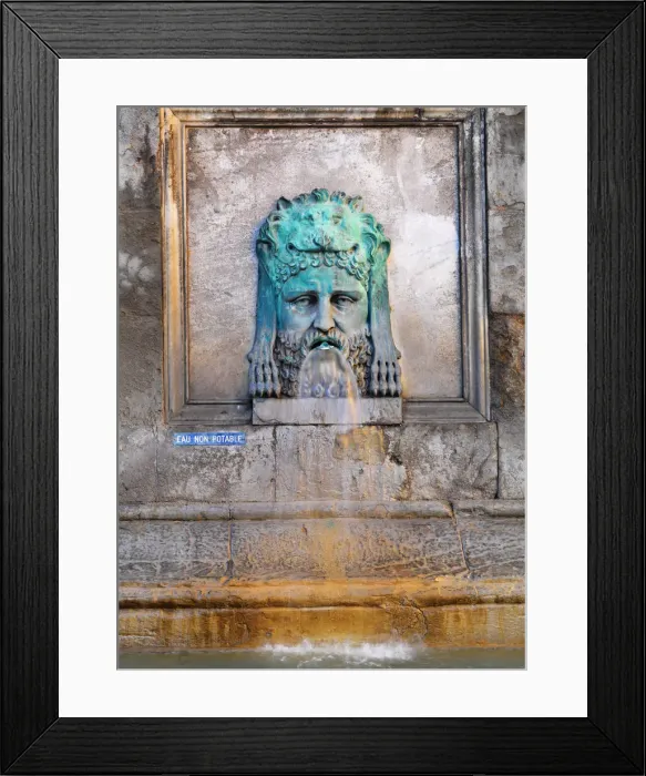 Framed Print : France, Provence, Arles, Place de la Republique, Bronze lion fountain