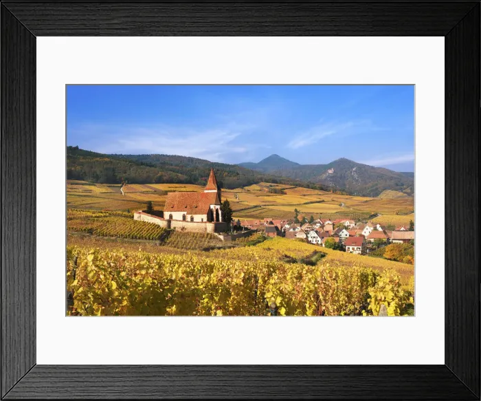 Framed Print : The vineyards at Hunawihr, Alsace, France Framed Print : The vineyards at Hunawihr, Alsace, France