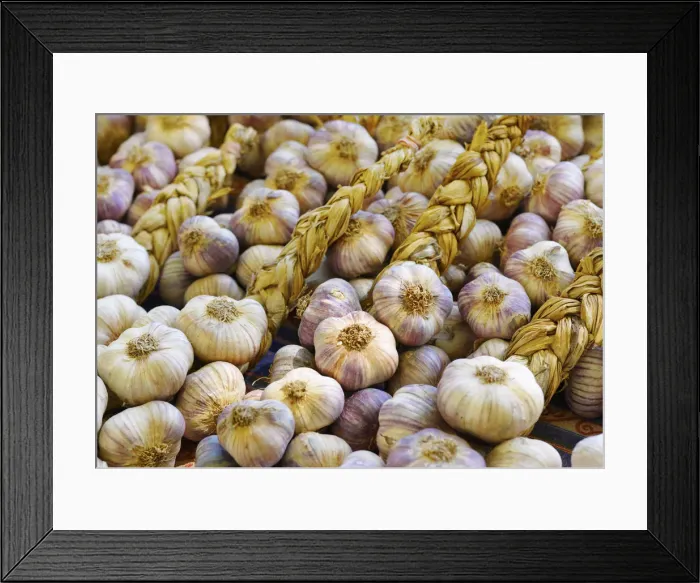 Framed Print : France, Provence, Arles, market stall, Garlic Framed Print : France, Provence, Arles, market stall, Garlic
