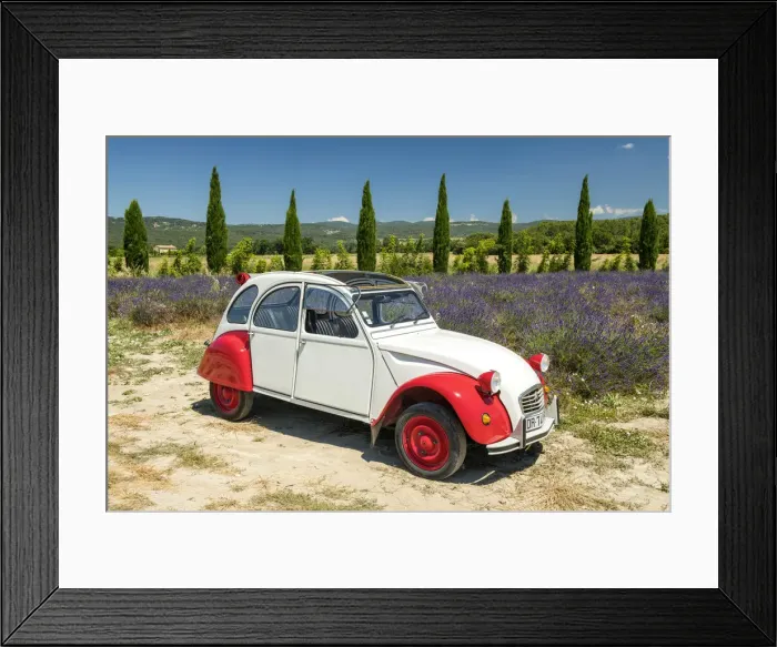 Framed Print : Classic Citroen 2CV by Field of Lavender, Provence, France Framed Print : Classic Citroen 2CV by Field of Lavender, Provence, France