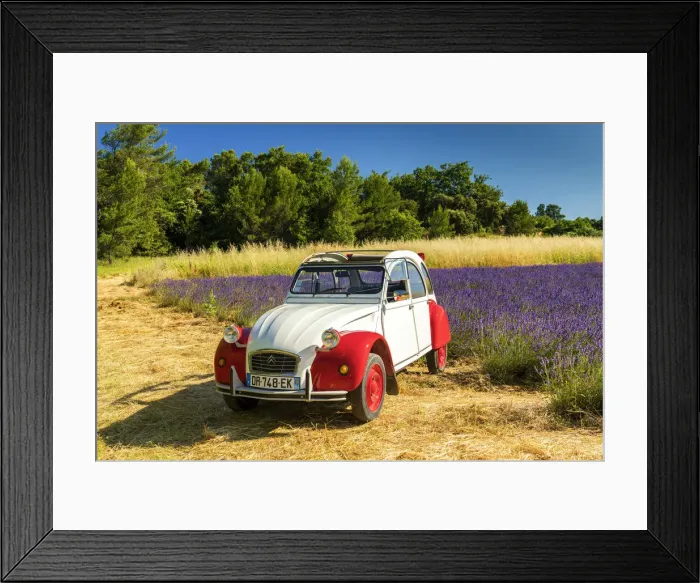 Framed Print : Classic Citroen 2CV by Field of Lavender, Provence, France Framed Print : Classic Citroen 2CV by Field of Lavender, Provence, France