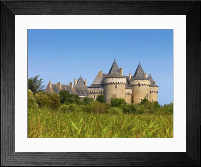 Framed Print : France, Brittany, Morbihan, Sarzeau, Chateau de Suscinio across field Framed Print : France, Brittany, Morbihan, Sarzeau, Chateau de Suscinio across field