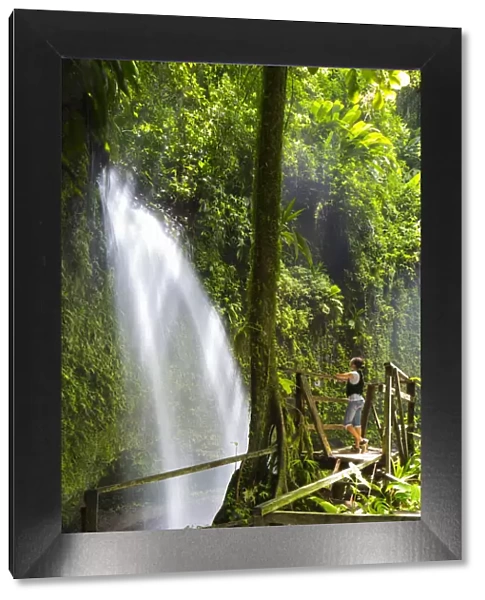 Dominica, Pont Casse. A tourst admires Soulton Falls. (MR)