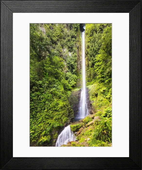 Framed Print : Dominica, Laudat. Middleham Falls is the tallest waterfall in Dominica Framed Print : Dominica, Laudat. Middleham Falls is the tallest waterfall in Dominica