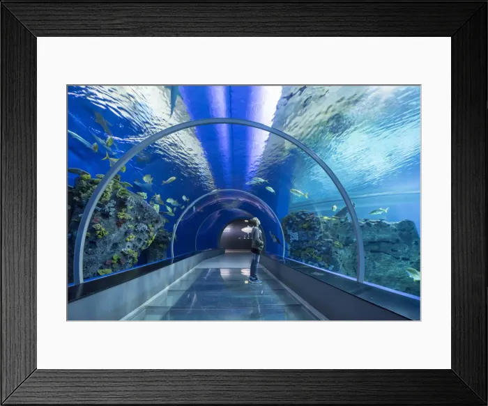 Framed Print : Kastrup, Copenhagen, Hillerod, Denmark. National Aquarium or Blue Planet (Den Bla Planet) Framed Print : Kastrup, Copenhagen, Hillerod, Denmark. National Aquarium or Blue Planet (Den Bla Planet)