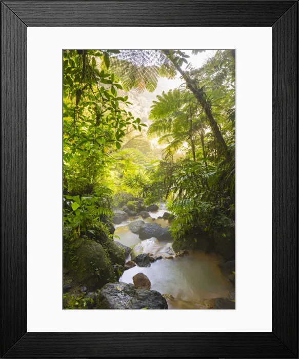 Framed Print : Dominica, Trafalgar. Natural hot volcanic pools at Trafalgar Falls Framed Print : Dominica, Trafalgar. Natural hot volcanic pools at Trafalgar Falls