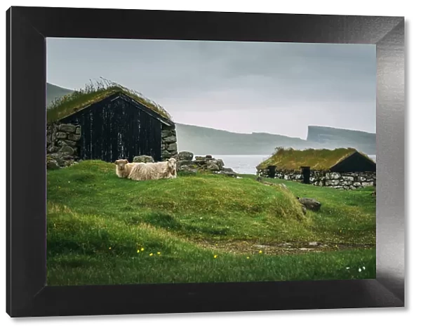 Turf-roofed houses for sheeps, Vagar, Faroe Islands, Europe