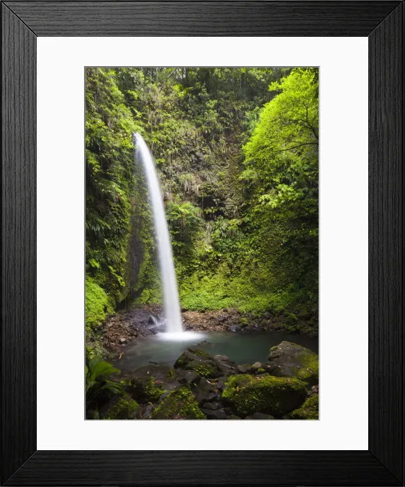 Framed Print : Dominica, Penrice. The second of the twin Spanny Falls, known as Spanny Falls Number Two Framed Print : Dominica, Penrice. The second of the twin Spanny Falls, known as Spanny Falls Number Two