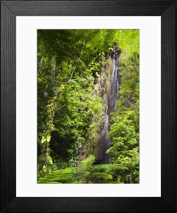 Framed Print : Dominica, Roseau. Waterfall at Papillote Wilderness Retreat