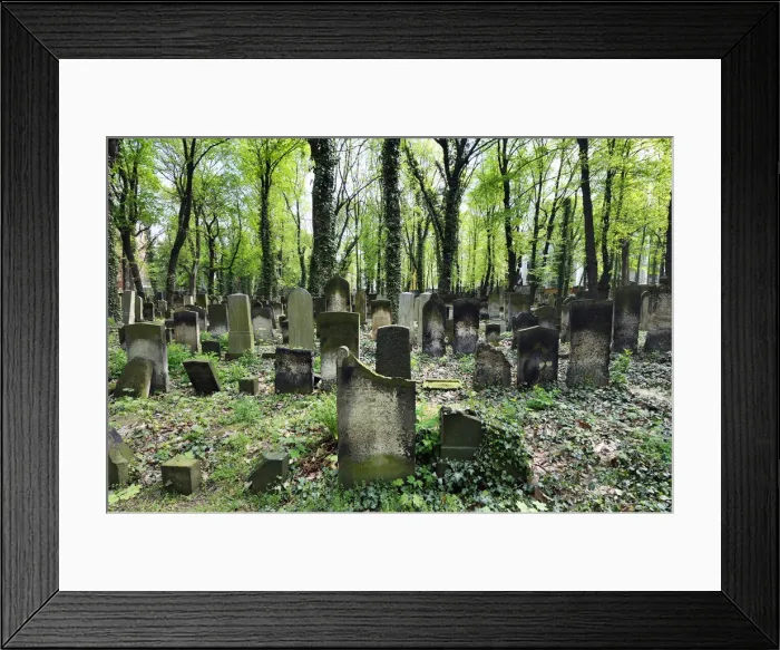 Framed Print : Jewish cemetery near Prenzlauer Berg. Berlin, Germany Framed Print : Jewish cemetery near Prenzlauer Berg. Berlin, Germany